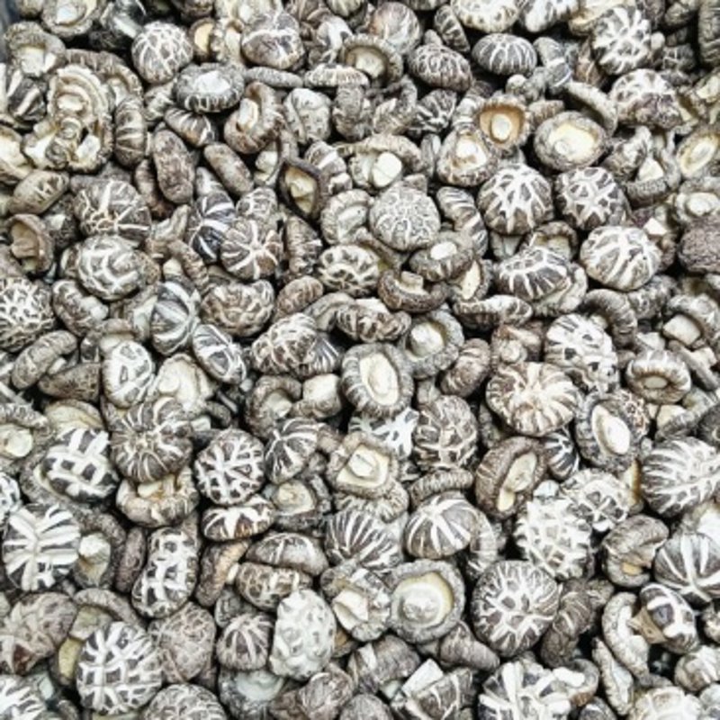 供应链的新时代：探寻鑫昌明商贸在商贸行业的崛起之路